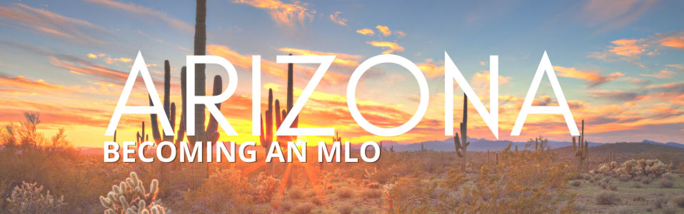 Arizona New License