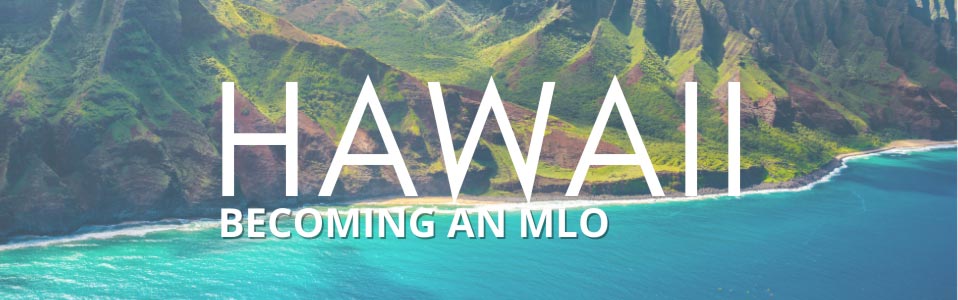 Hawaii New License