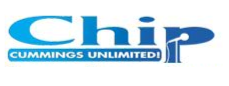 Chip Logo