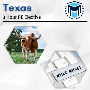 Texas 3 Hour PE Elective