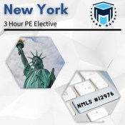 3 Hour New York PE Elective